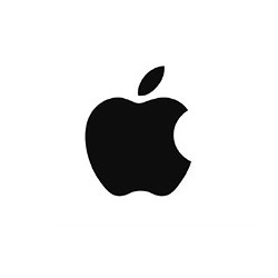 Apple Pay Logo