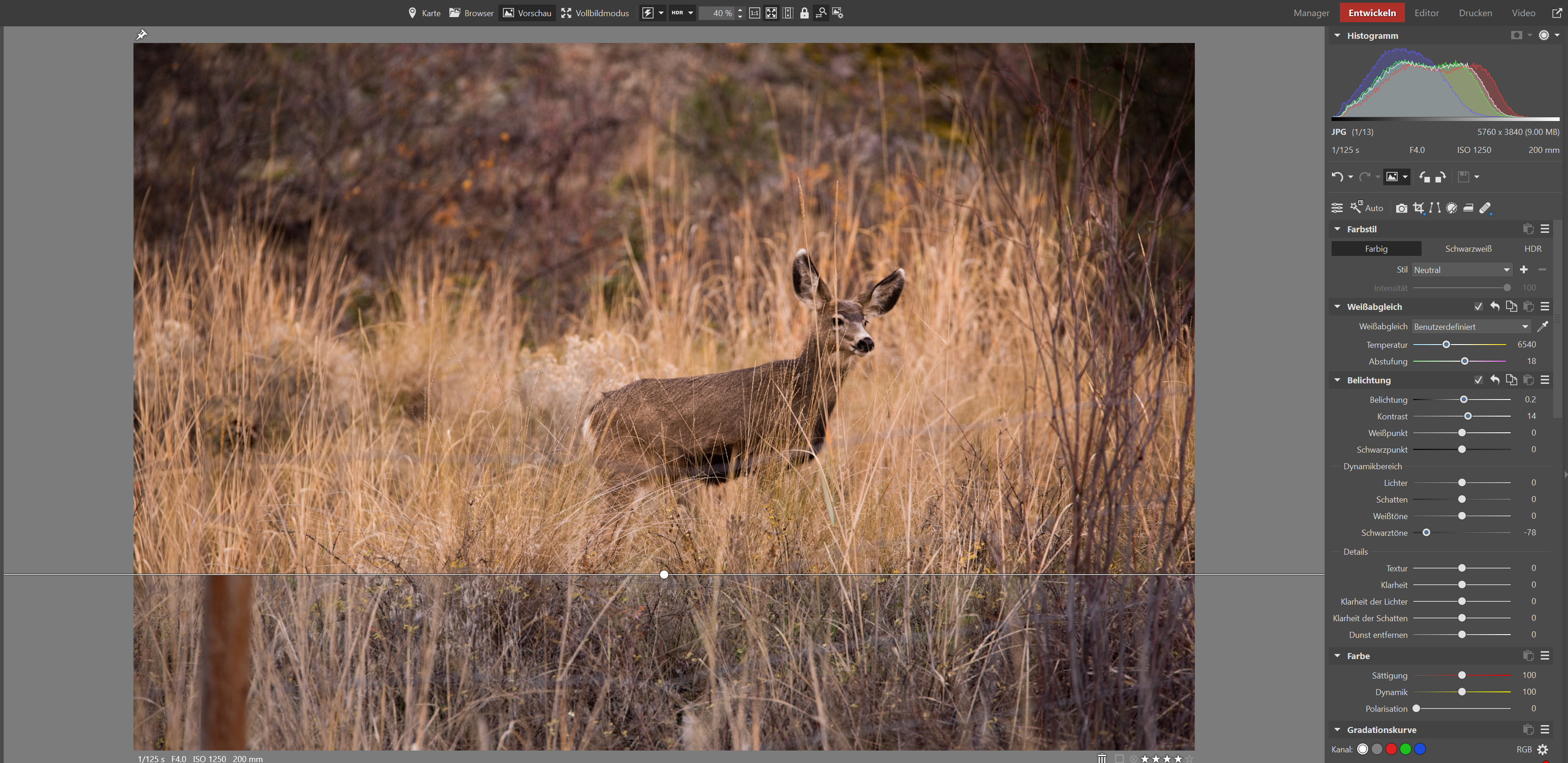 Screenshots & Videos Screenshot #3