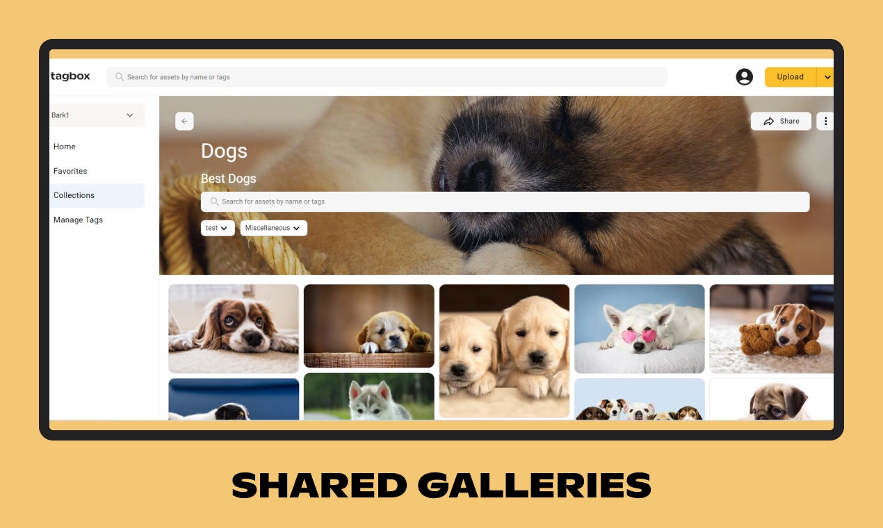 Screenshots & Videos Screenshot #3