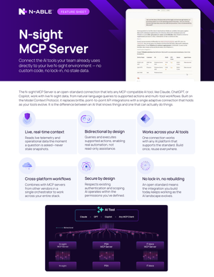 N-sight® MCP Server (EN)