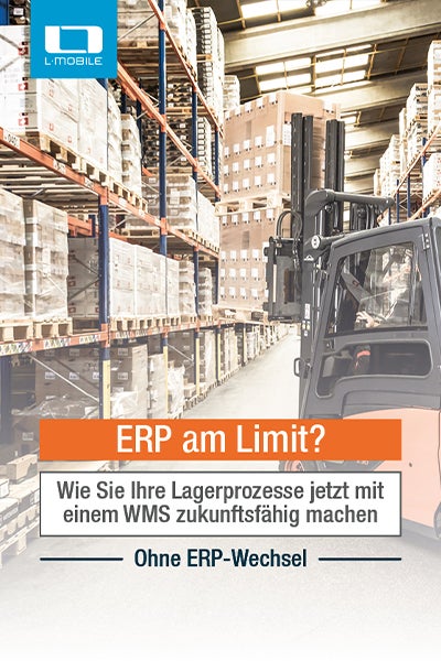 Whitepaper: ERP am Limit? Wie Sie Ihre Lagerprozesse jetzt zukunftsfähig machen