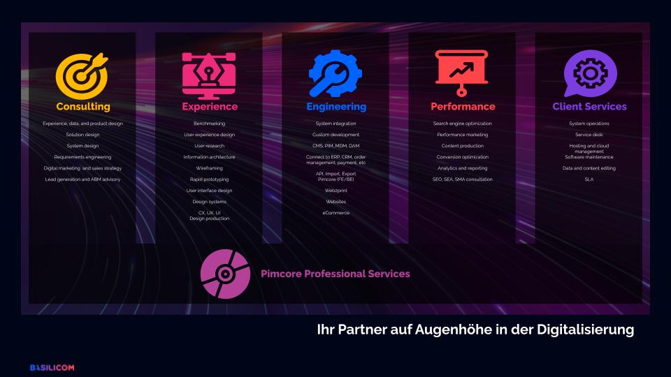 Basilicom Projects & Portfolio Screenshot #1