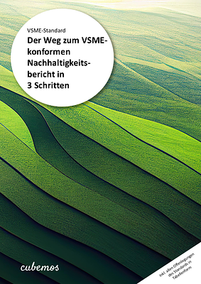 Whitepaper: VSME 2026