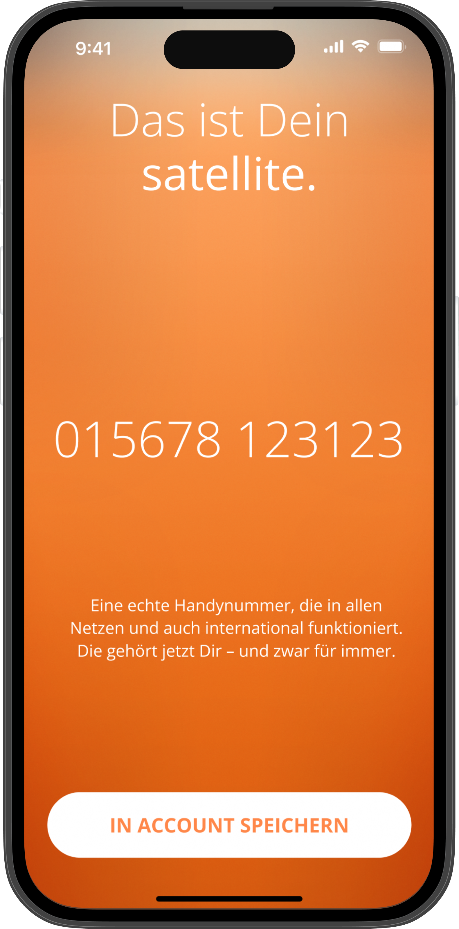 satellite Screenshot #0