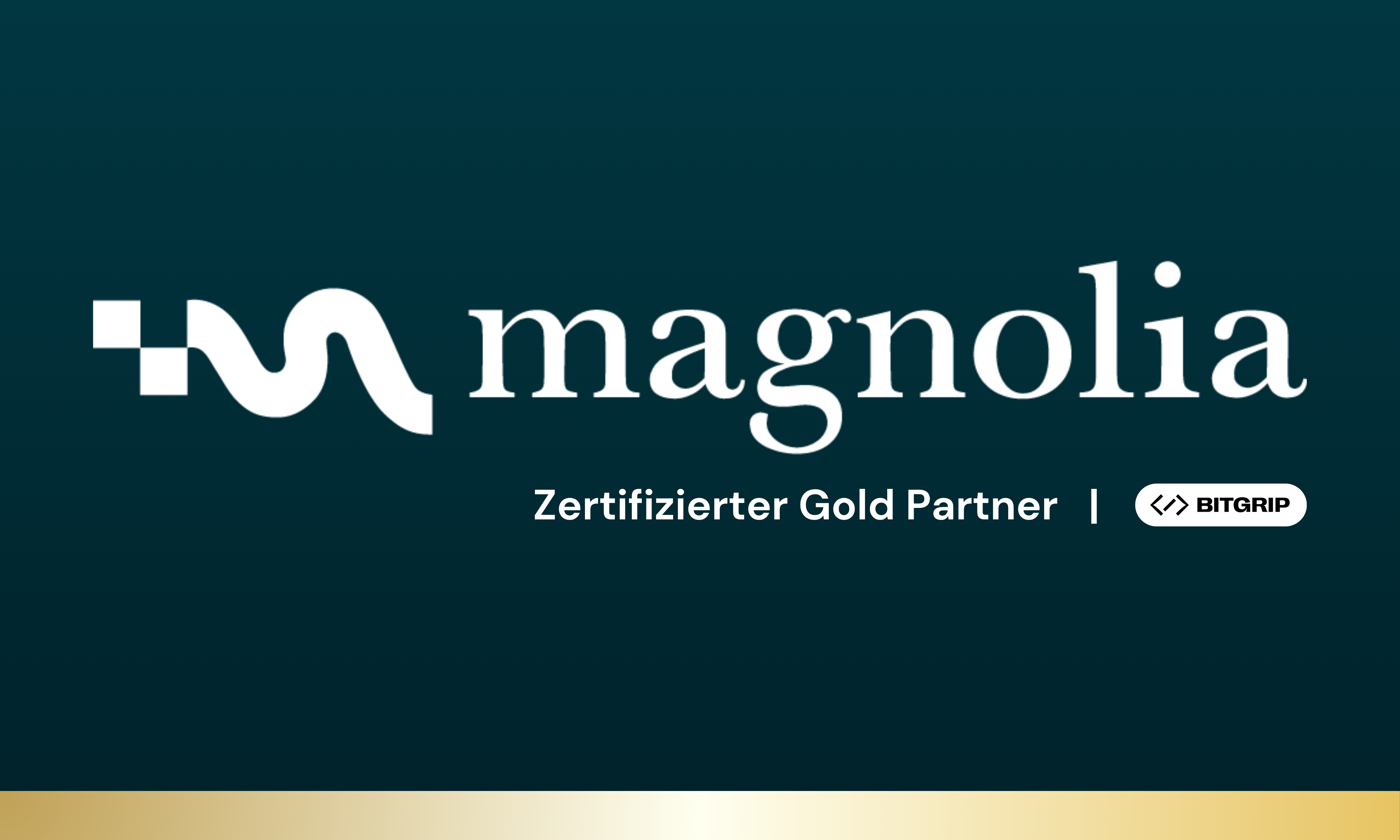 Bitgrip  Projects & Portfolio Screenshot #4