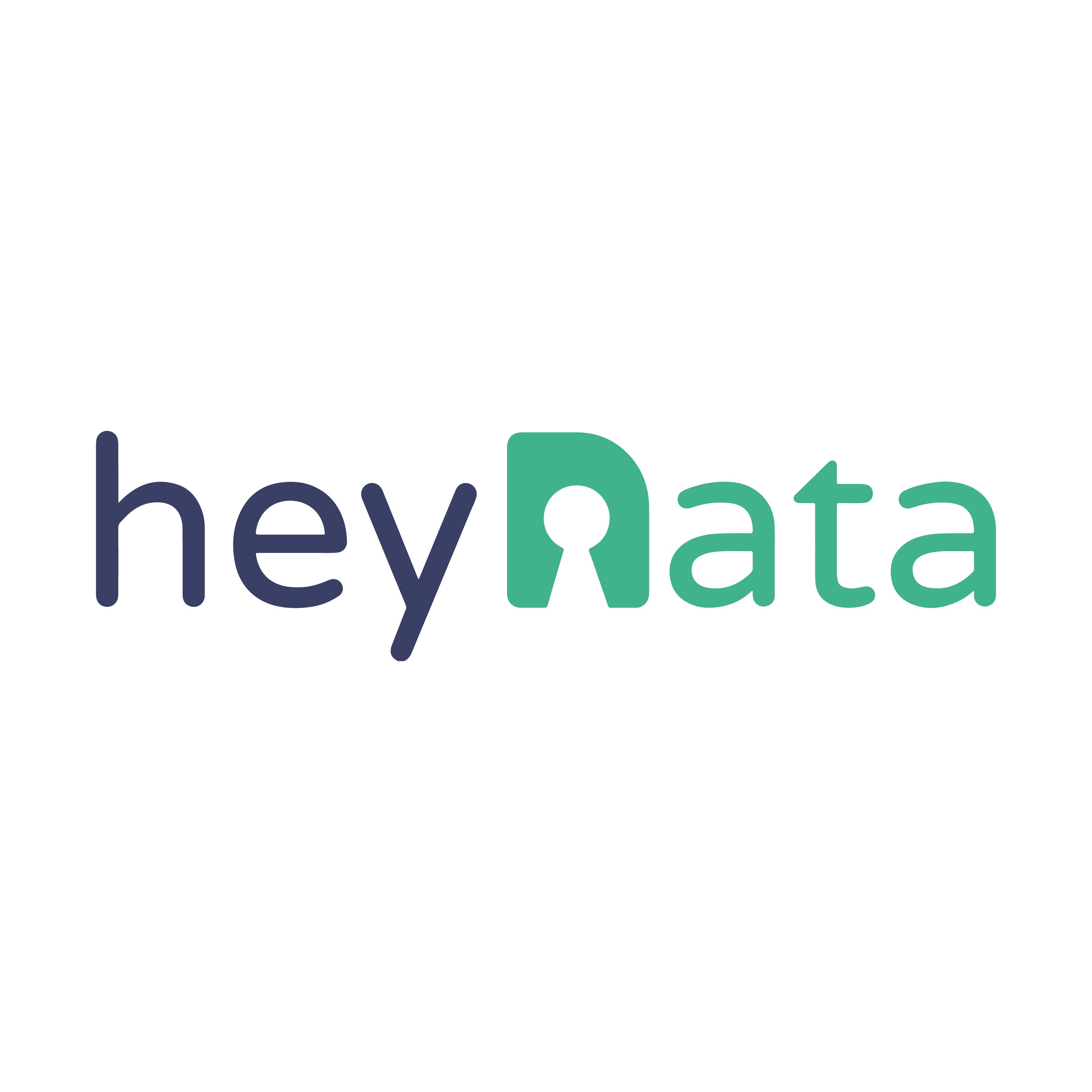 heyData Logo