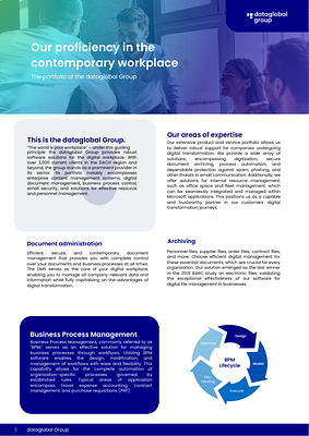 OnePager - Our expertise-dataglobal Group - EN