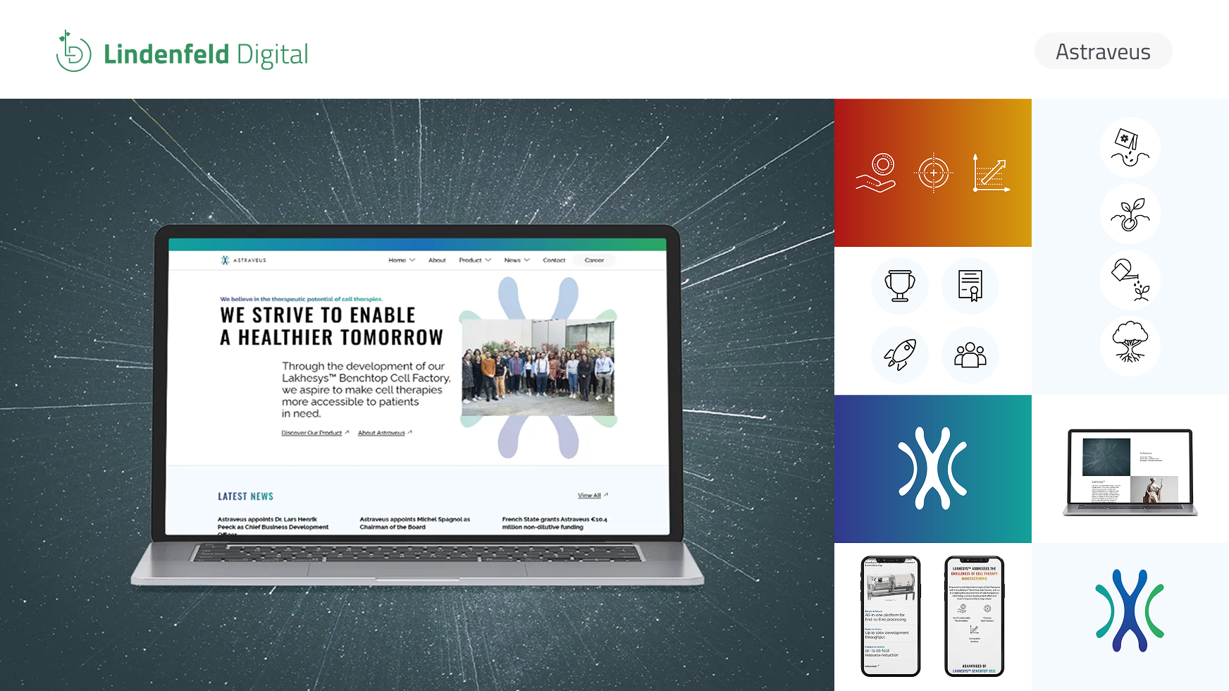 Lindenfeld Digital Projekte & Portfolio Screenshot #0