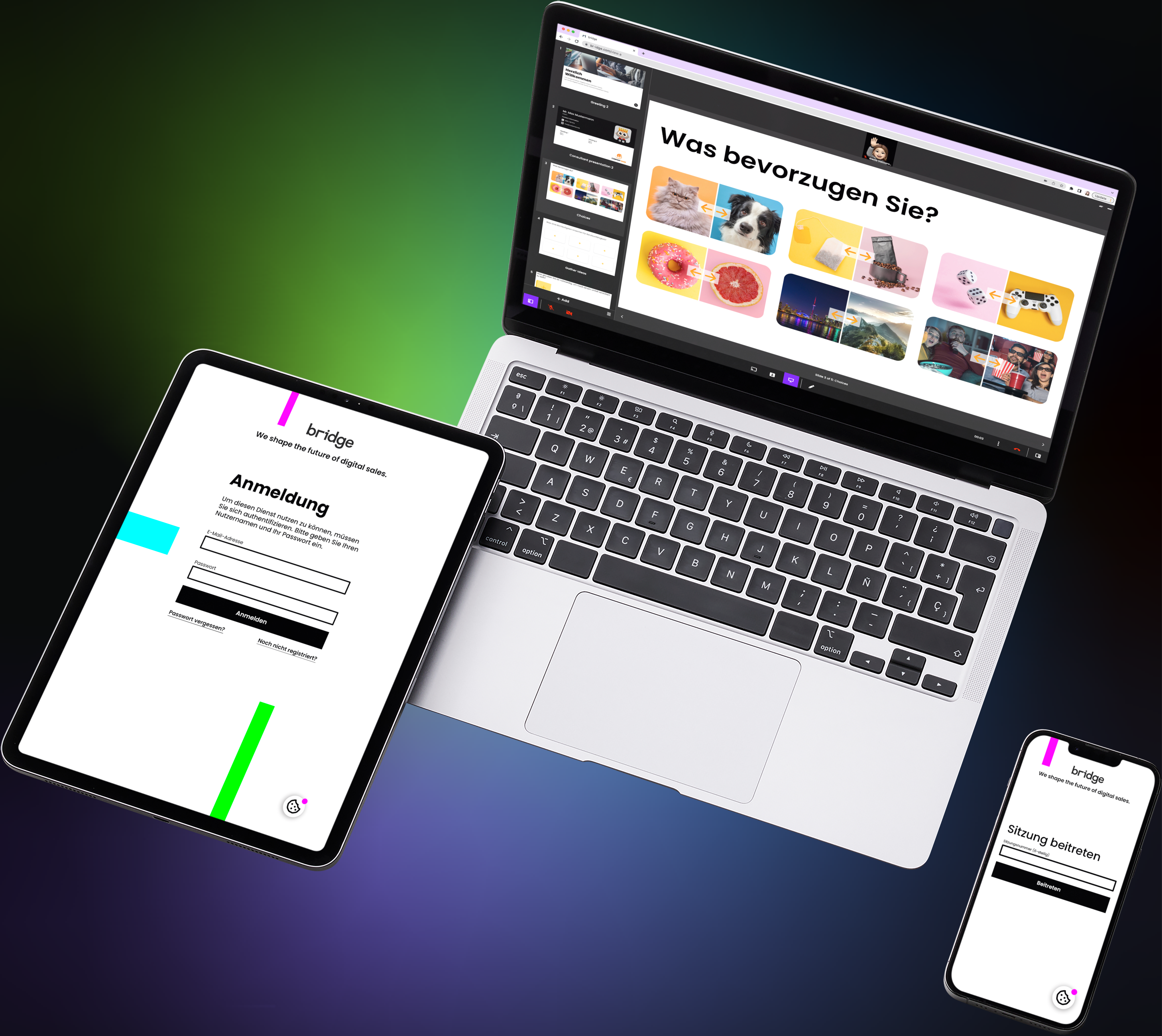 bridge Screenshot #0