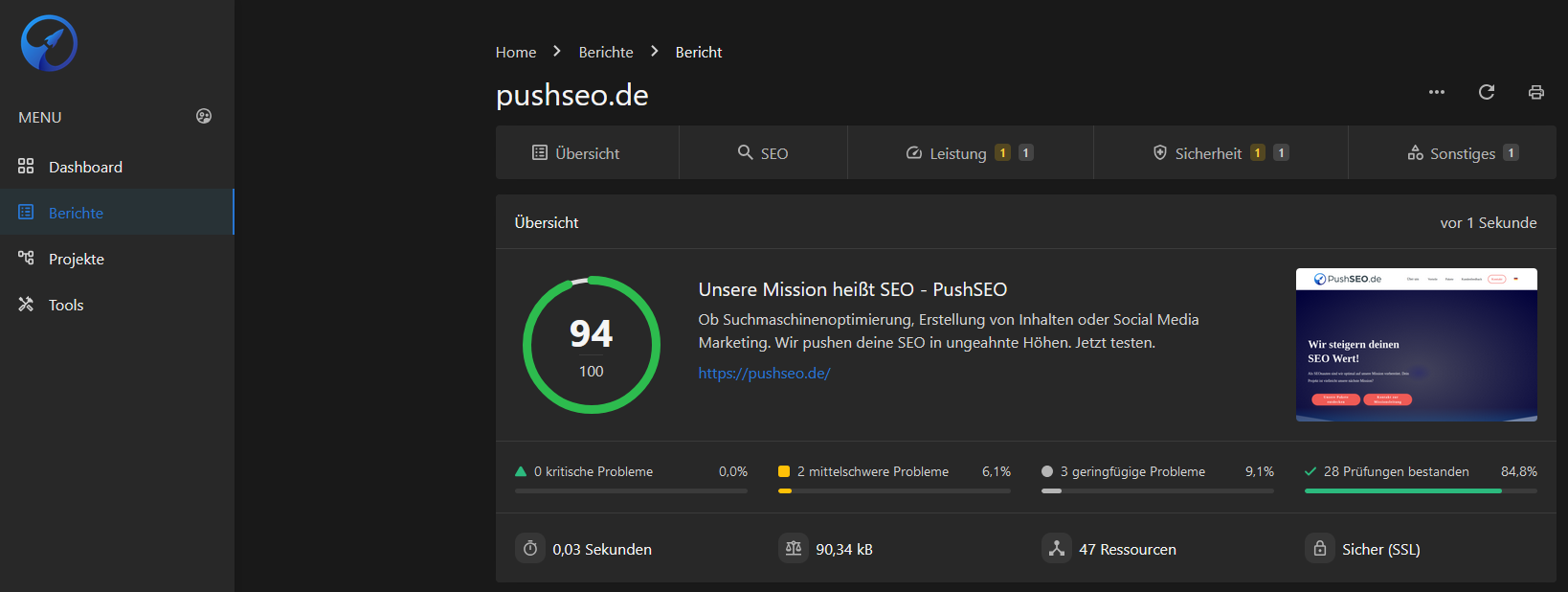 PushSEO® Ranker Screenshot #0