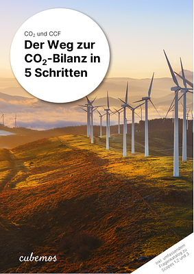 Whitepaper: Calculating a Carbon Footprint