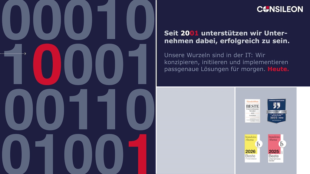 Consileon Projekte & Portfolio Screenshot #1