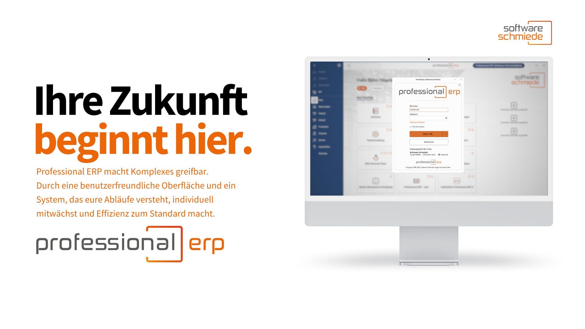 Professional ERP Screenshot #0