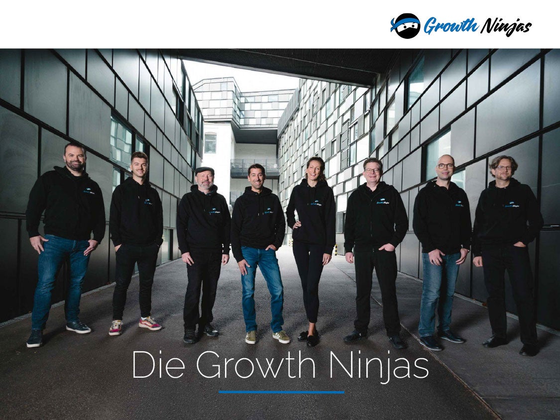 Growth Ninjas Projekte & Portfolio Screenshot #0
