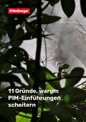 11 Gründe warum PIM Einführungen scheitern