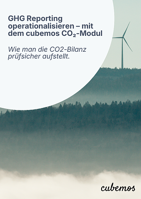 Whitepaper: Creating a Carbon Footprint with cubemos