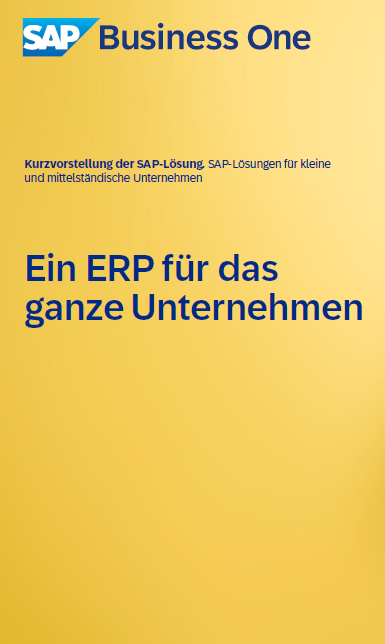 Kurzvorstellung der SAP-Lösung