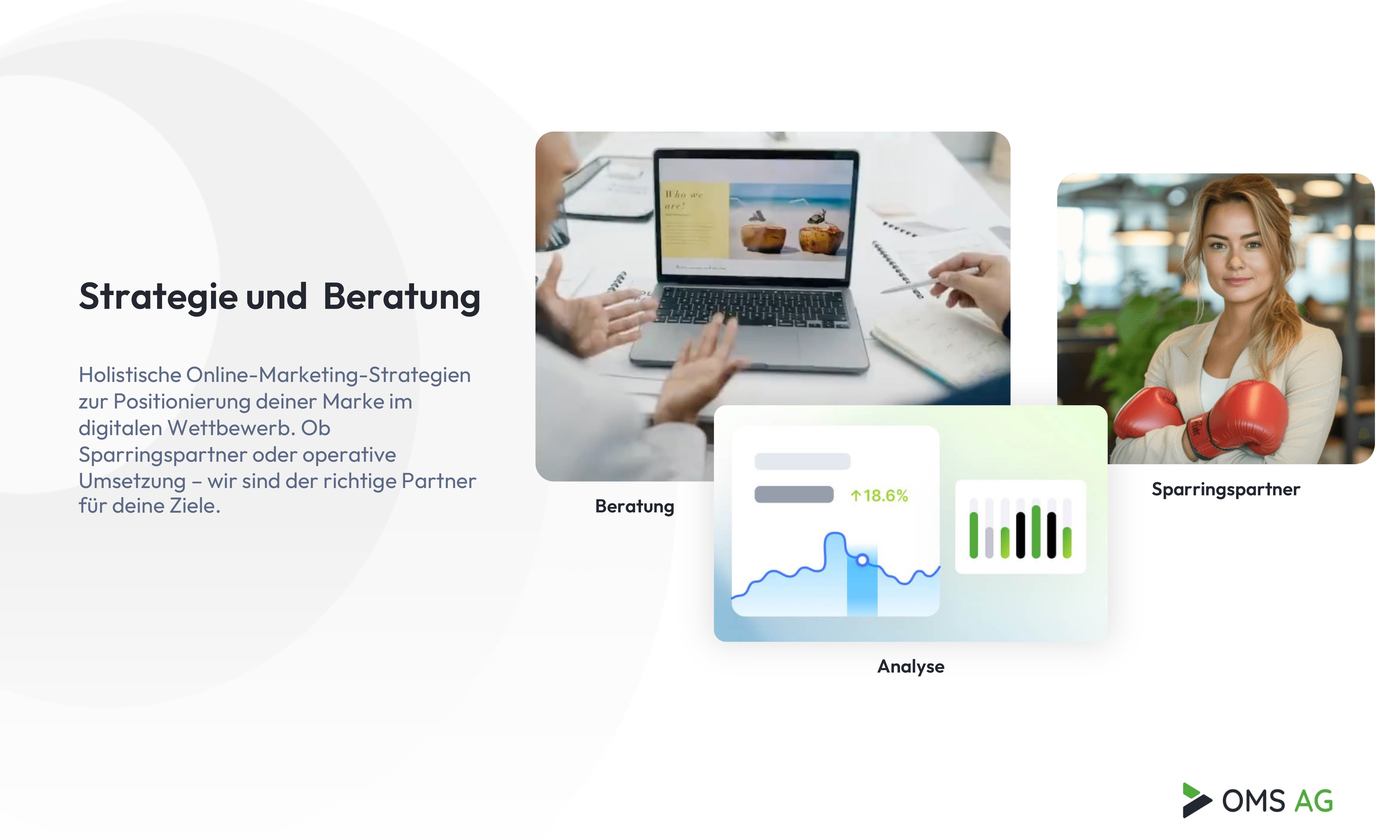 Online Marketing Solutions AG Projekte & Portfolio Screenshot #1