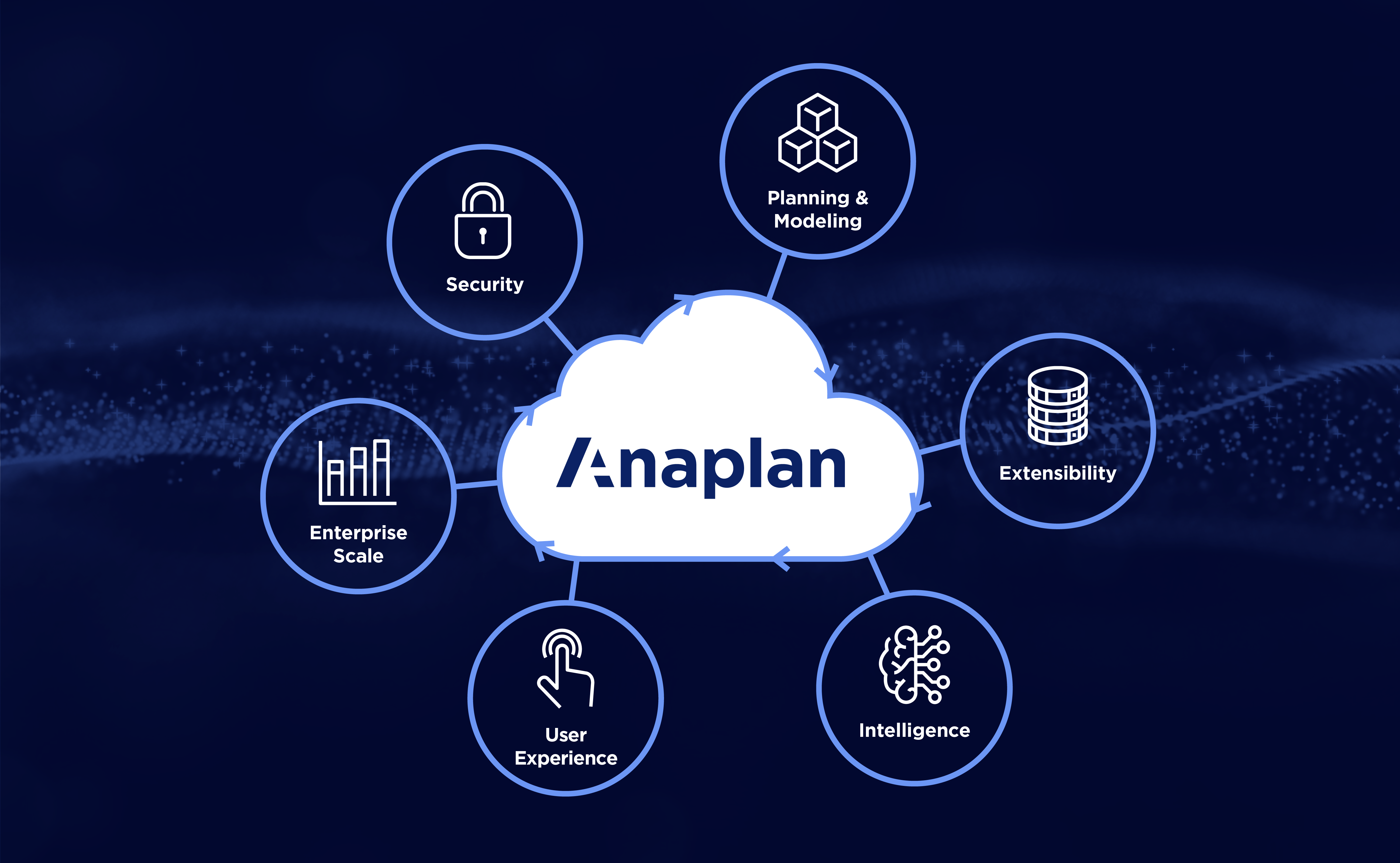 Anaplan Screenshot #0