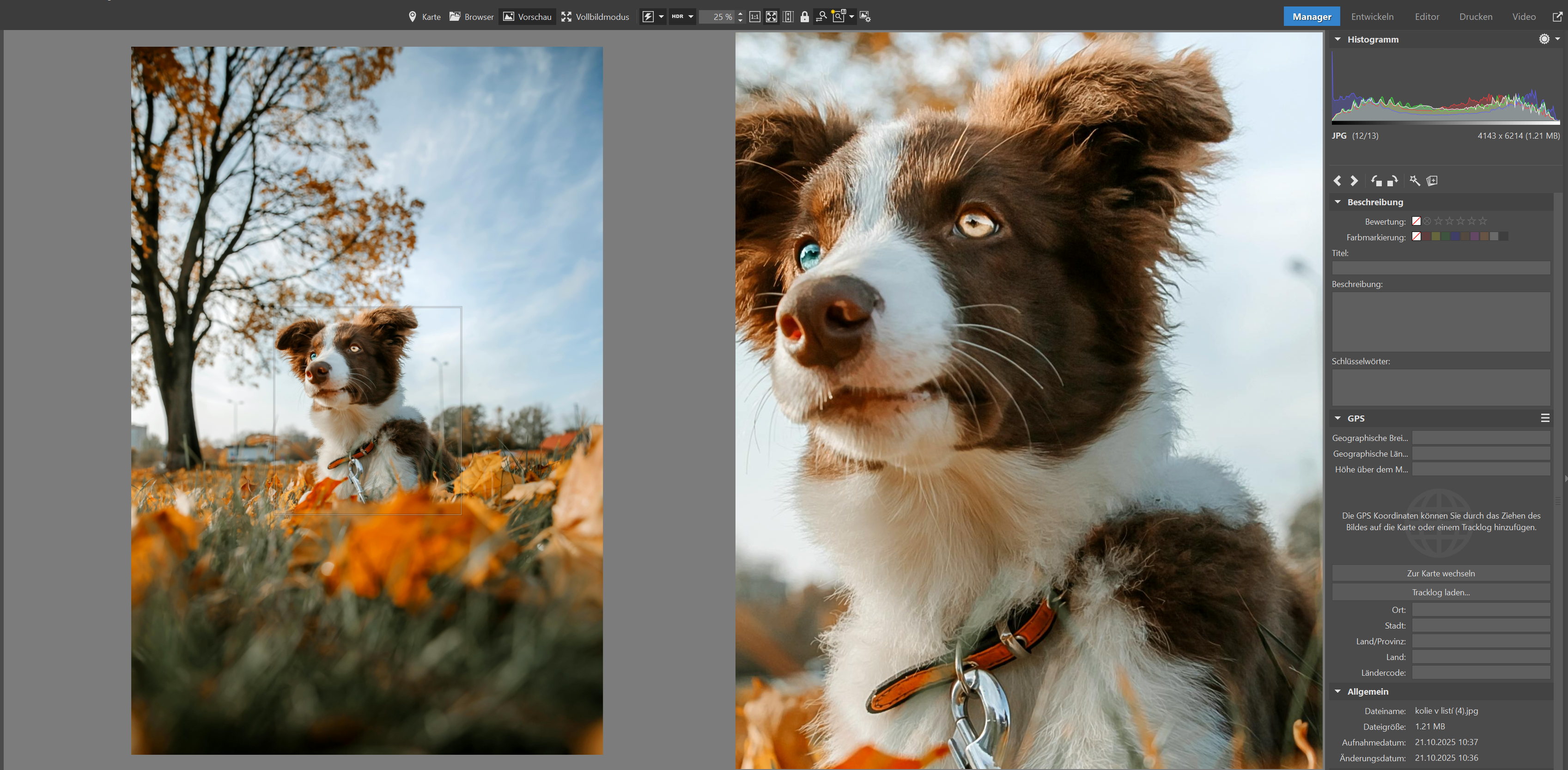 Zoner Studio Screenshot #0