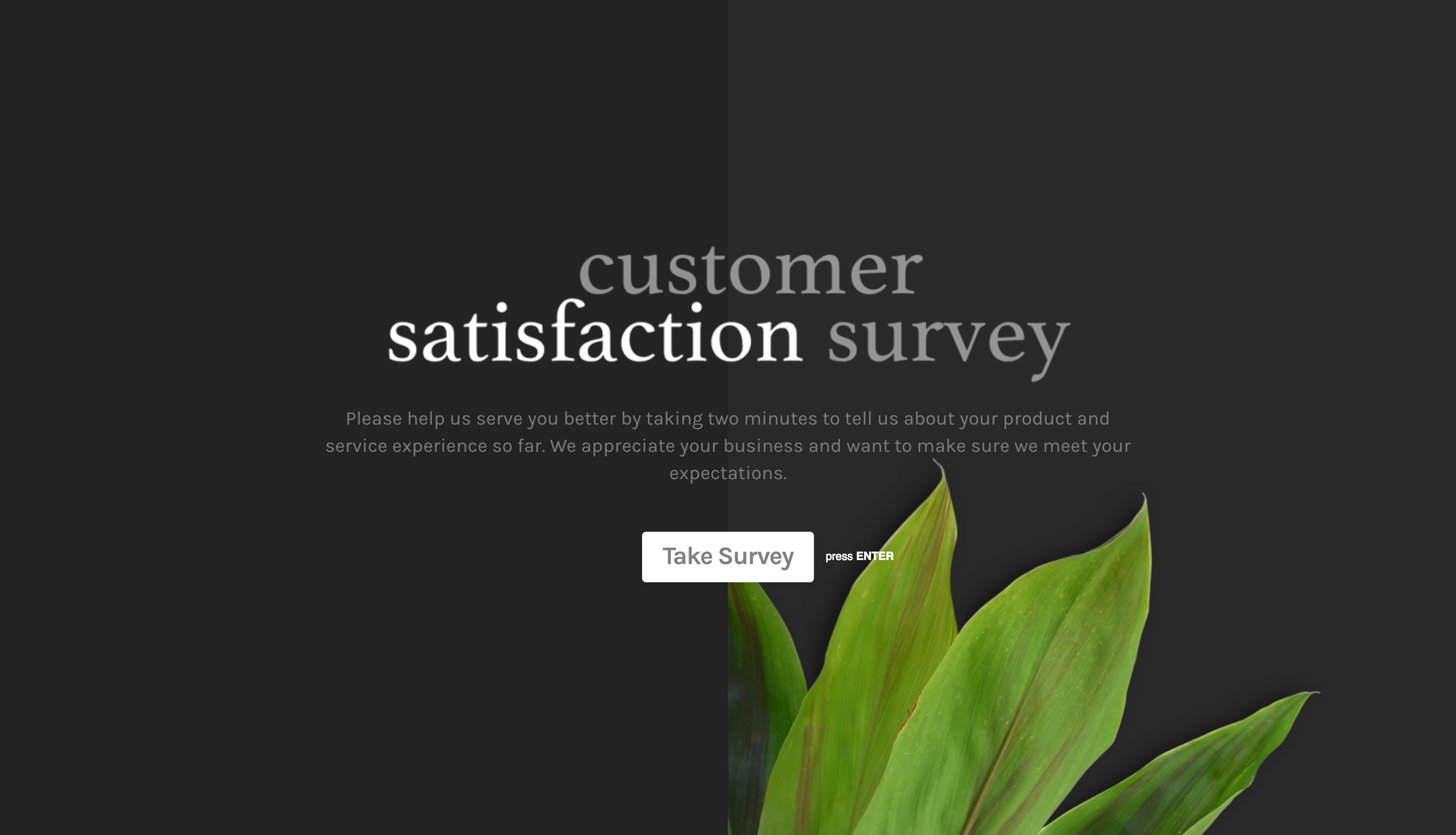 undefined Screenshot #0