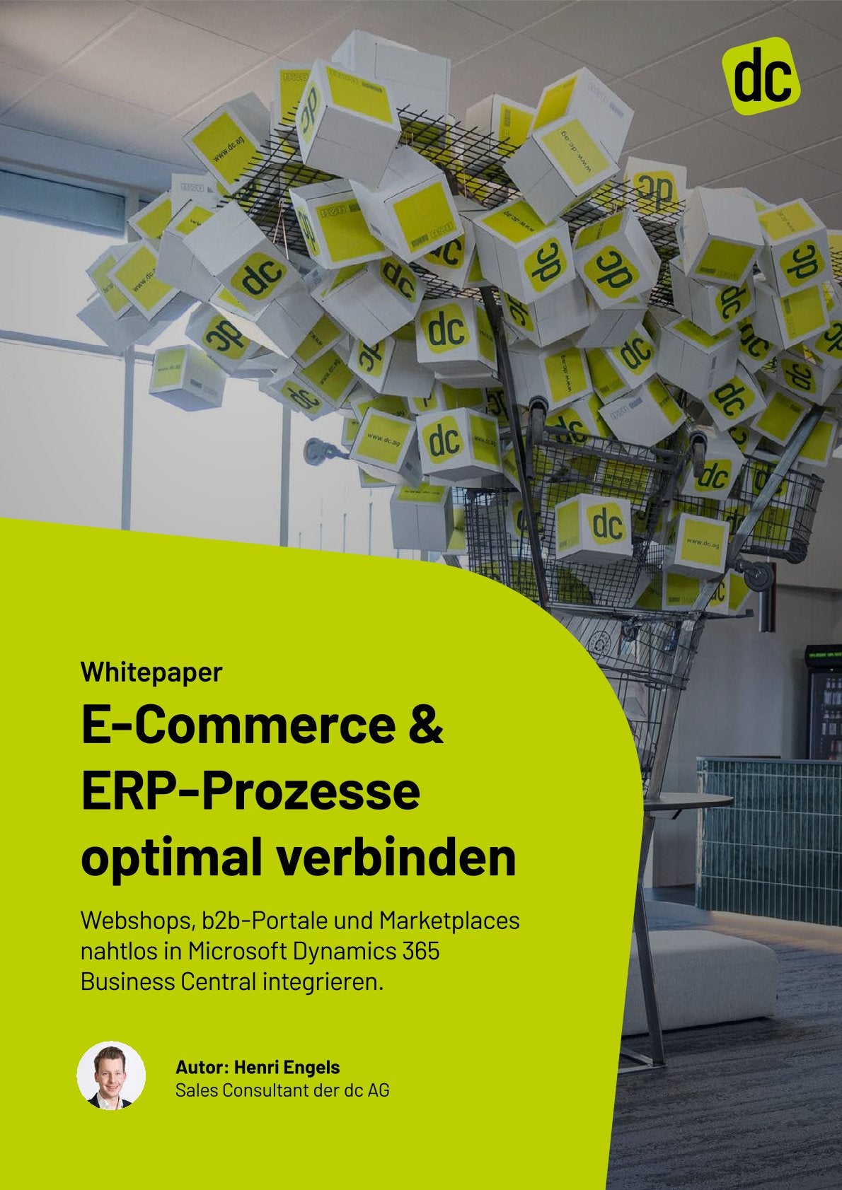 dc_Whitepaper - ERP-Integration.pdf