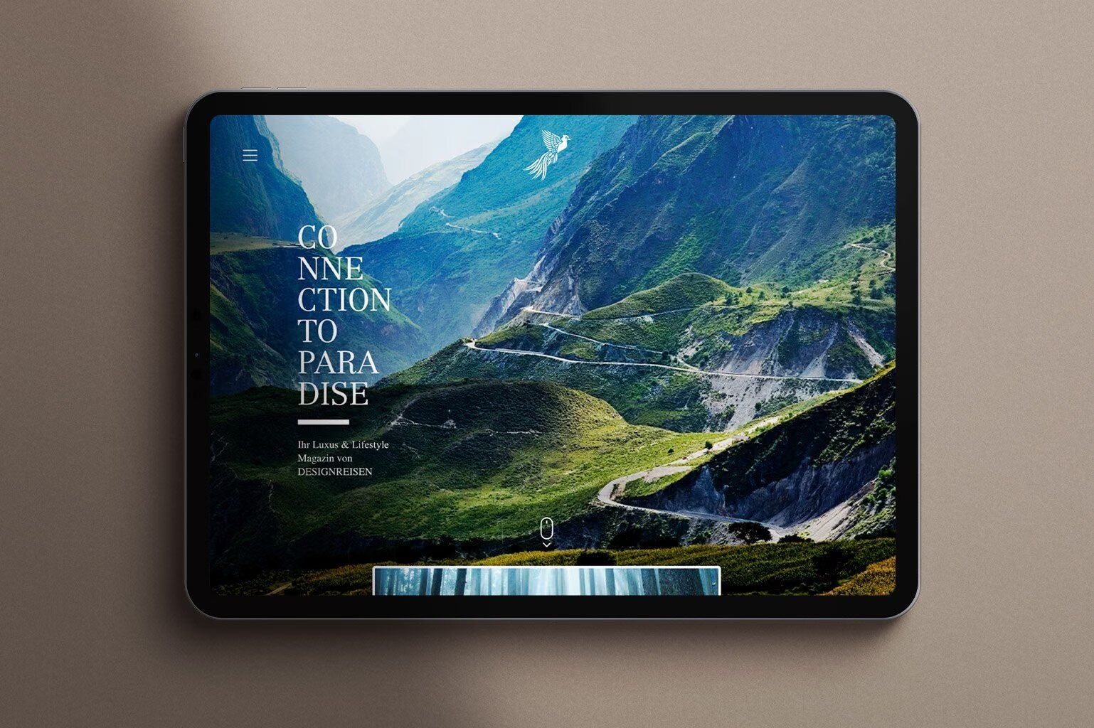 Pixelperfektion Projects & Portfolio Screenshot #6