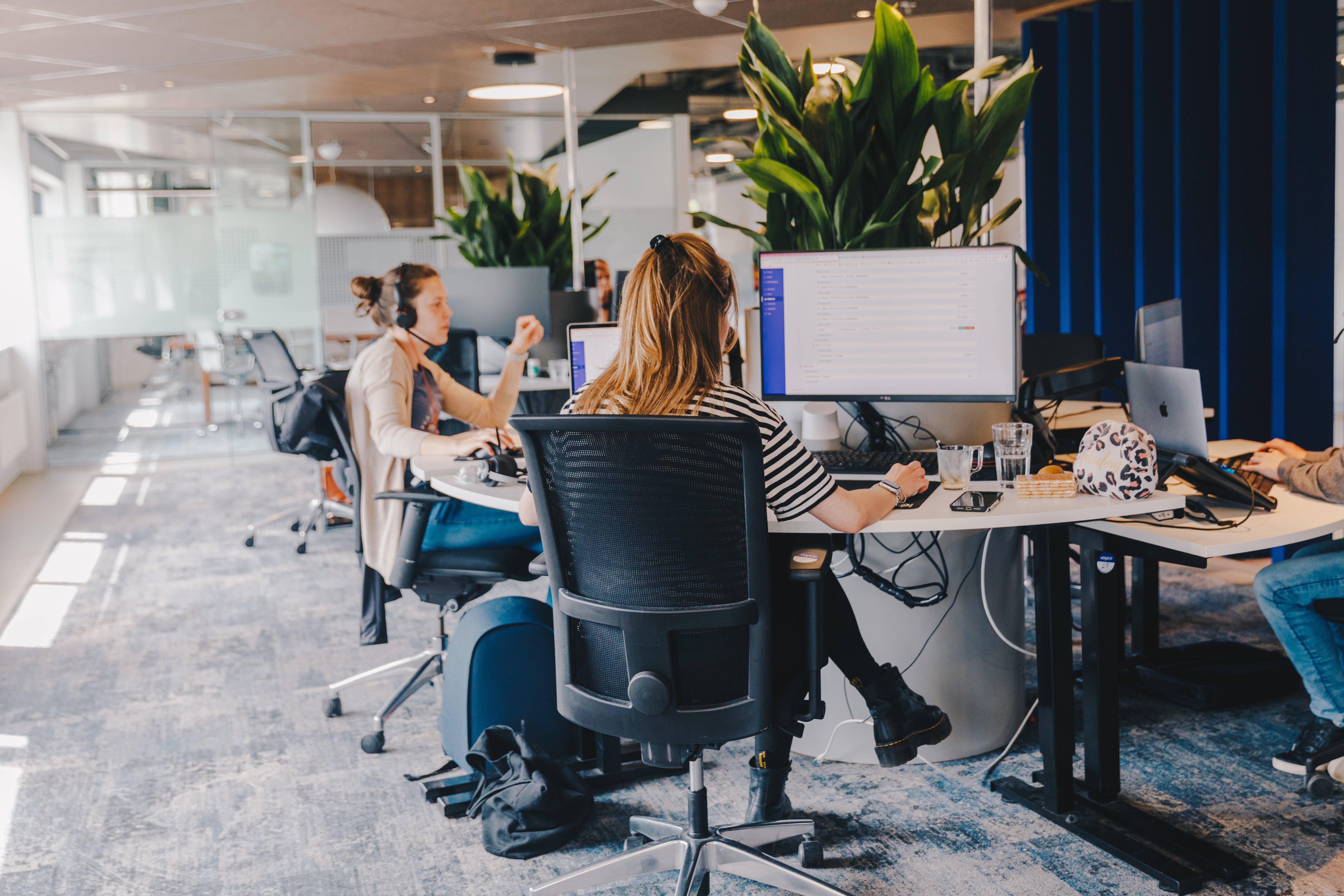 Screenshots & Videos Screenshot #2