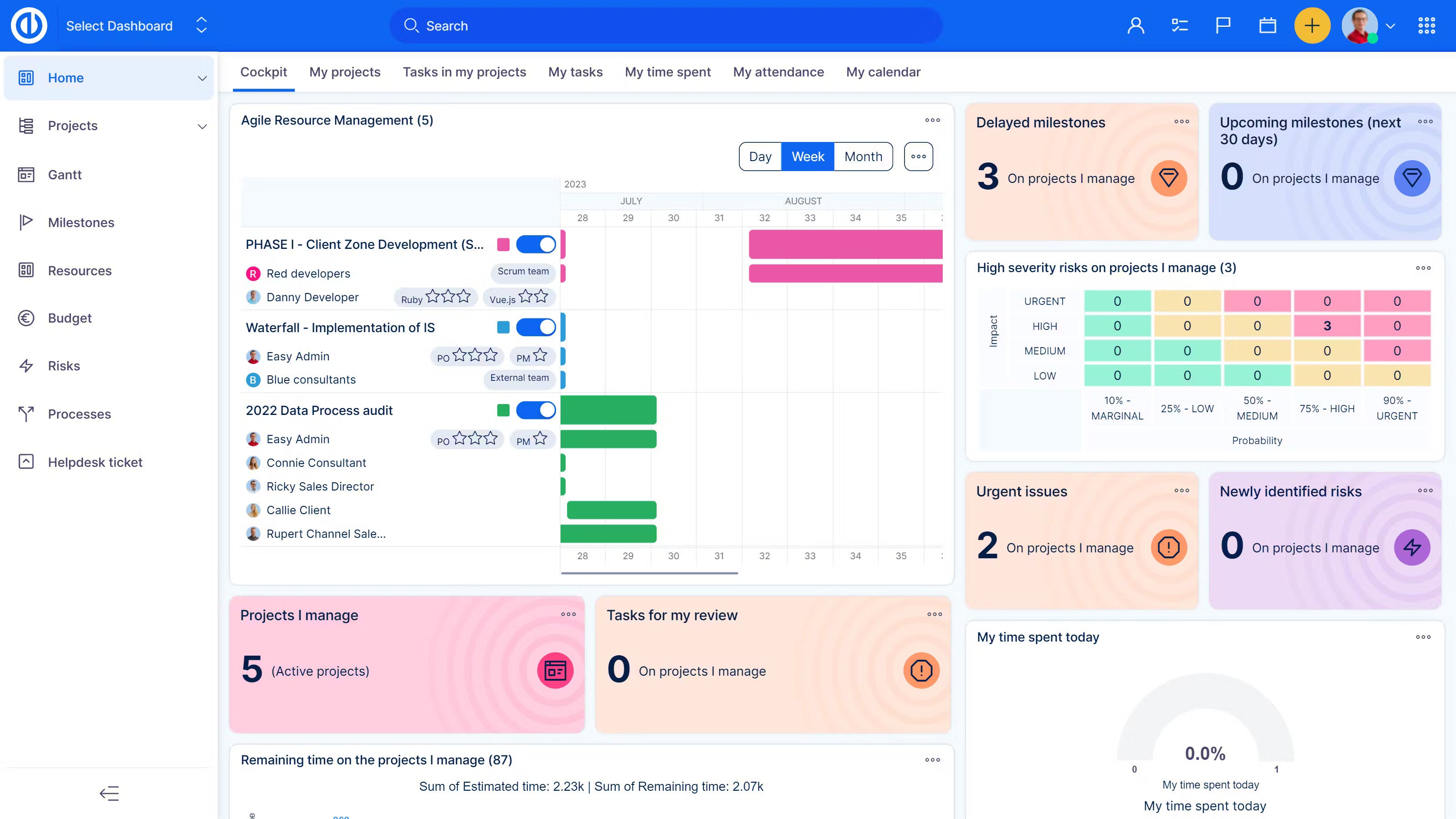 Easy Redmine Screenshot