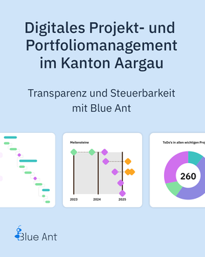 Kundenbericht Kanton Aargau.pdf