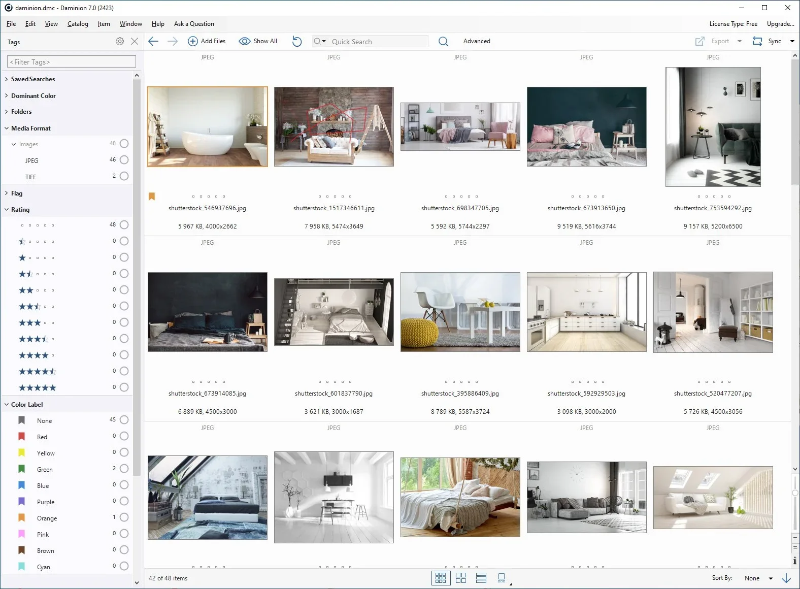 Daminion Screenshot #0