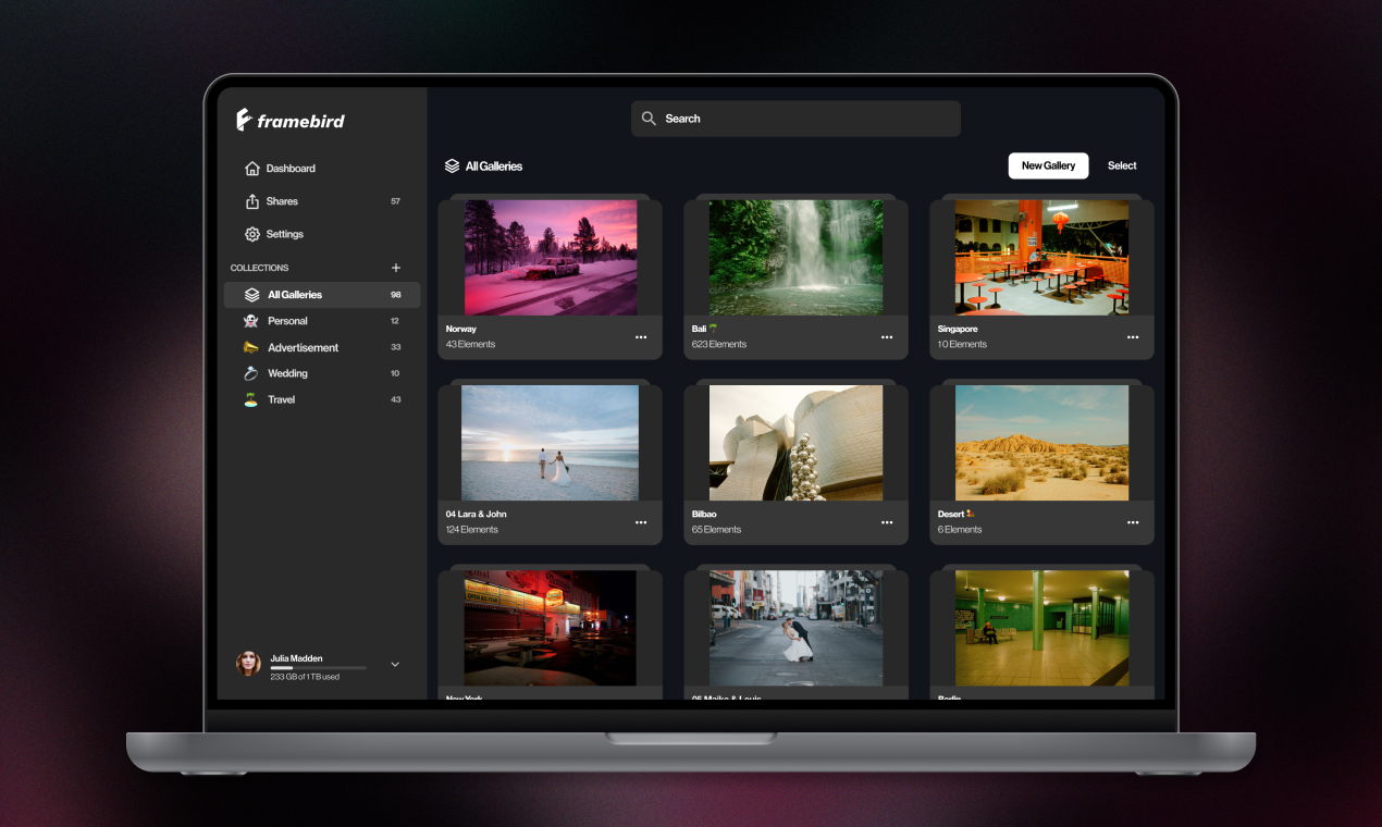 Framebird Screenshot #0