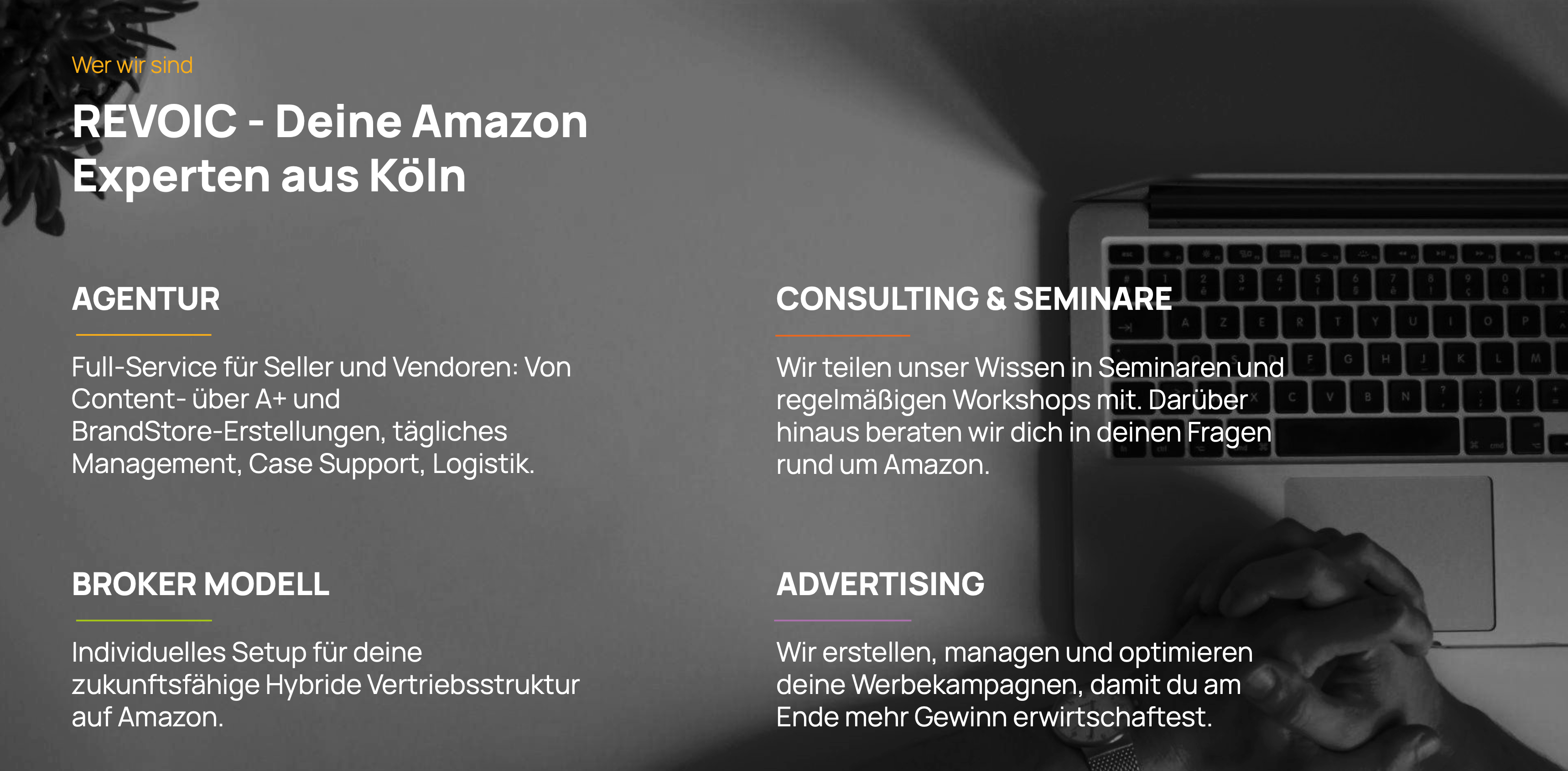 REVOIC Projekte & Portfolio Screenshot #1