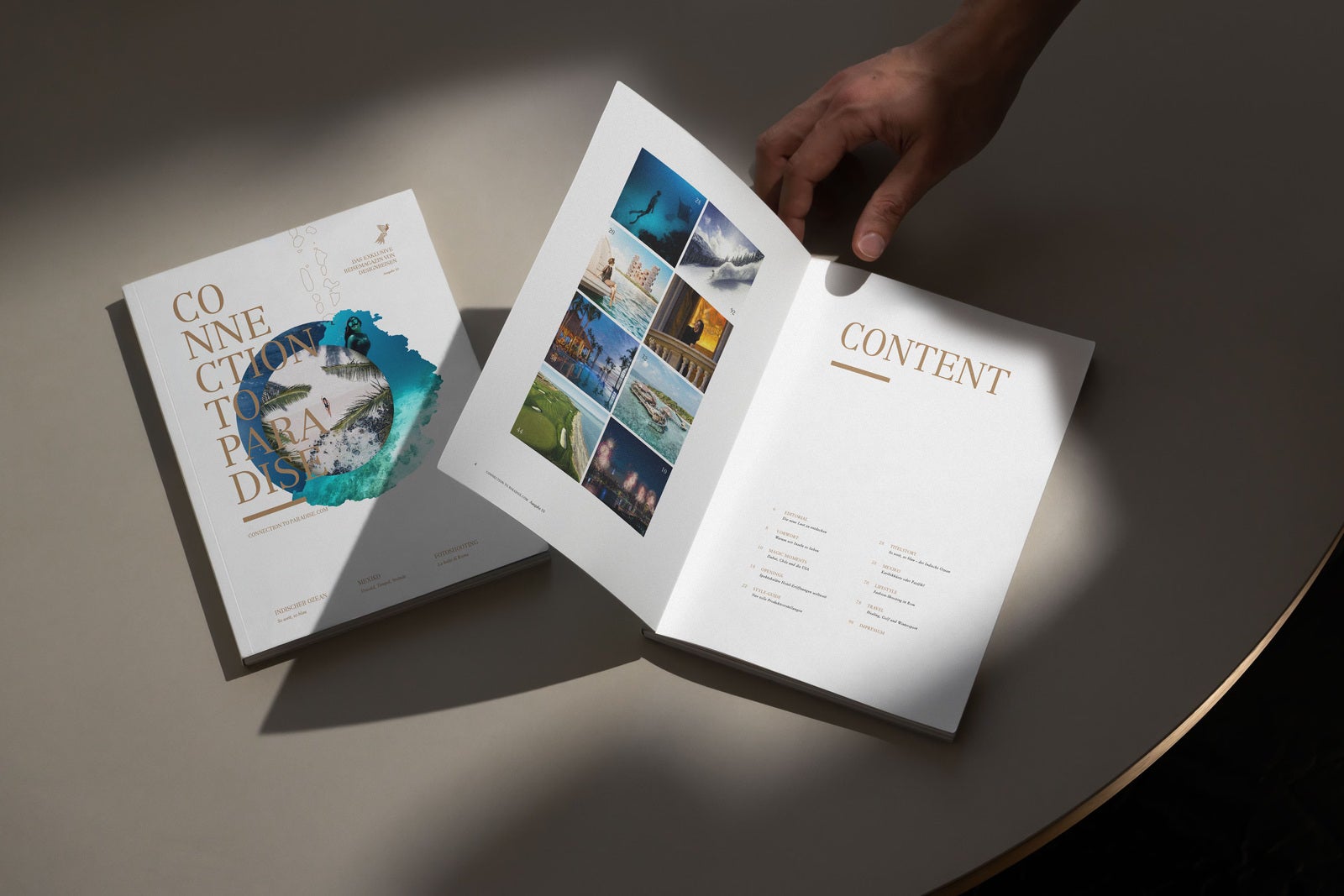 Pixelperfektion Projects & Portfolio Screenshot #1