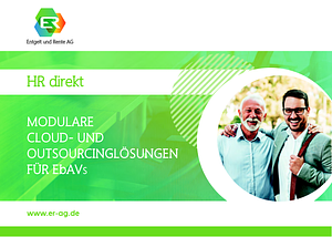 E-Flyer Software und Dienstleistungen für EbAVs.pdf