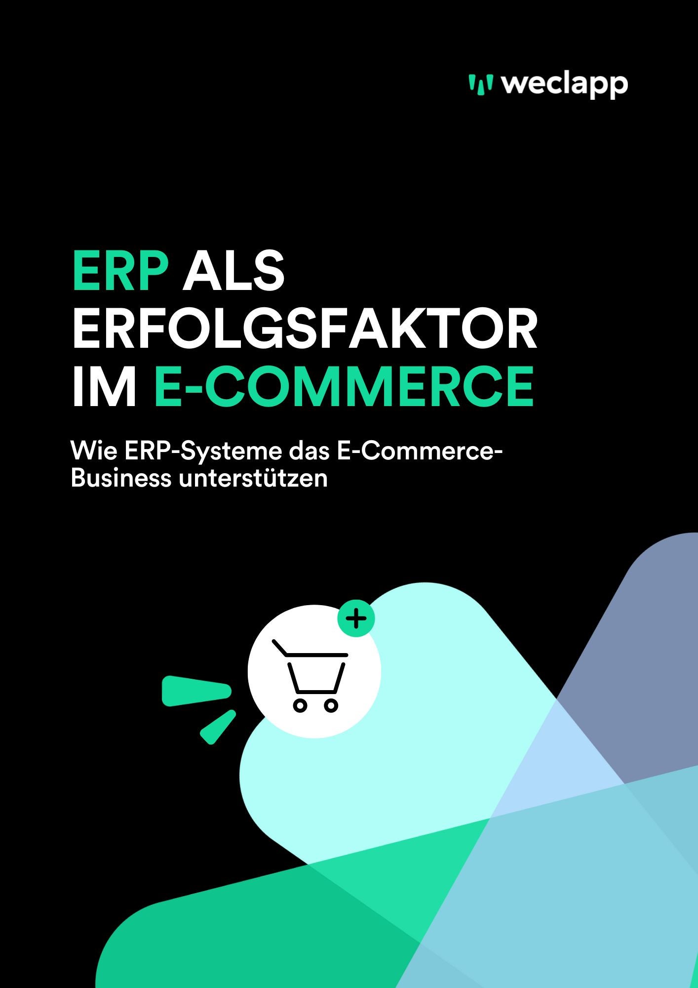 ERPAlsErfolgsfaktorImECommerce.pdf
