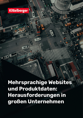 Mehrsprachige Websites & Produktdaten-Herausforderungen in großen Unternehmen