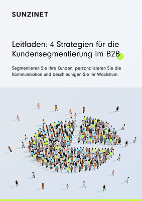 SUNZINET - Strategien Kundensegmentierung B2B