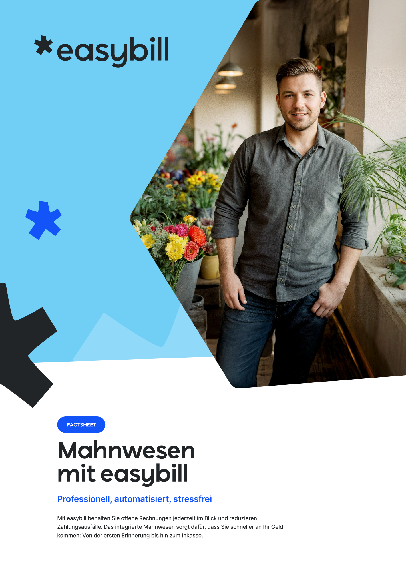 Mahnwesen mit easybill.pdf