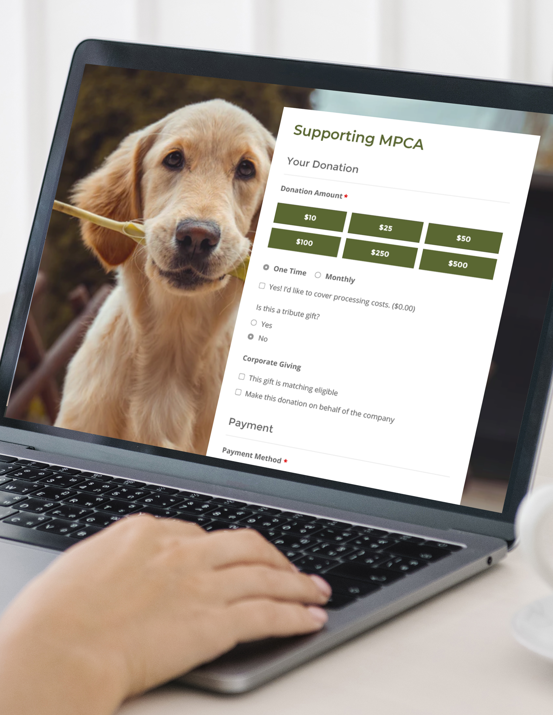 Screenshots & Videos Screenshot #3