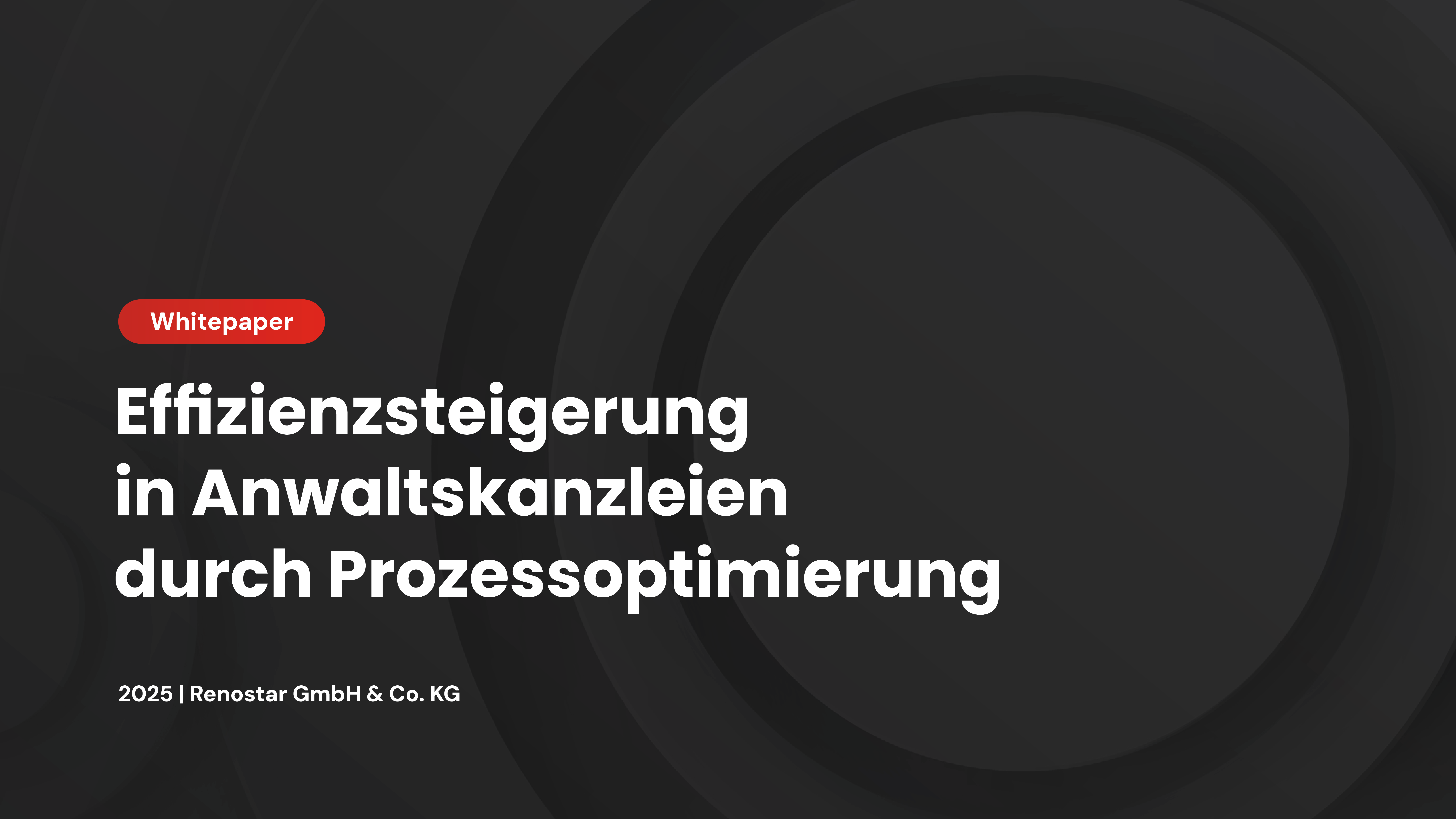 Renostar_Optimierung von Kanzleiprozessen_2025.pdf