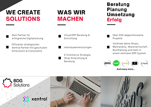 BDG Solutions Info Flyer