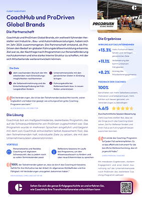 ProDriven One Pager DE