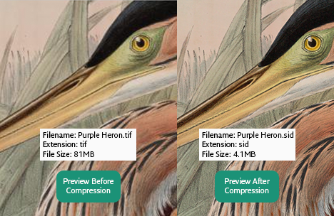 Screenshots & Videos Screenshot #1