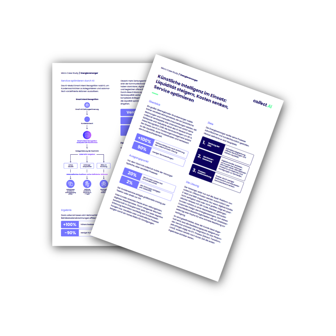 Micro Case Study Energieversorger