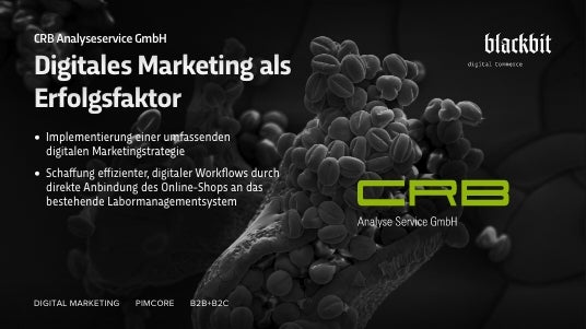 Blackbit  Projects & Portfolio Screenshot #4