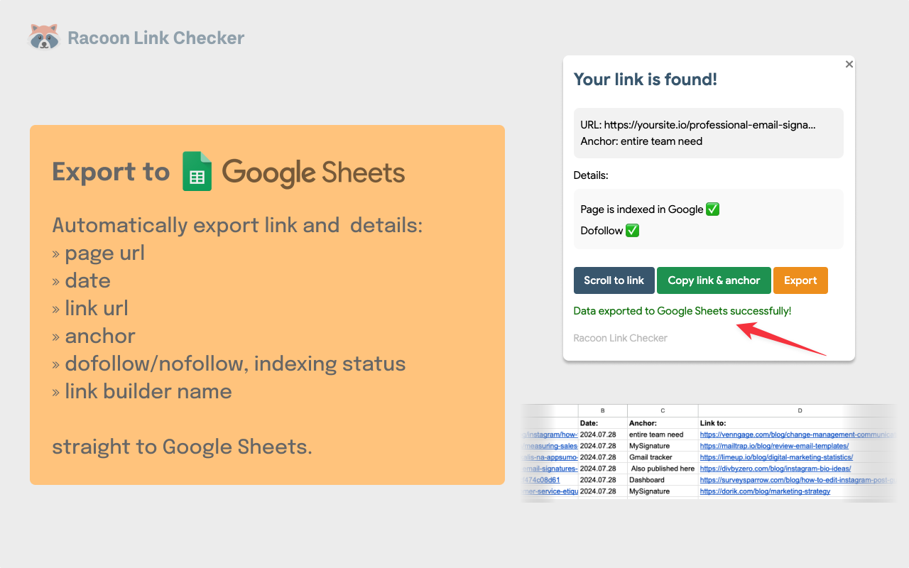 Racoon SEO Link Checker Screenshot #0