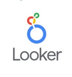 Looker Studio Logo