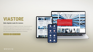 Referenz_viastore.pdf