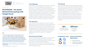 Case Study Blume 2000